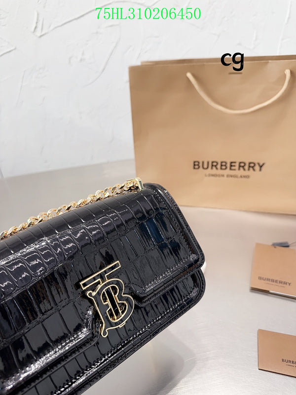Ezyycart Bags Fan Fashion -MV - Top quality BBR Bags - 208