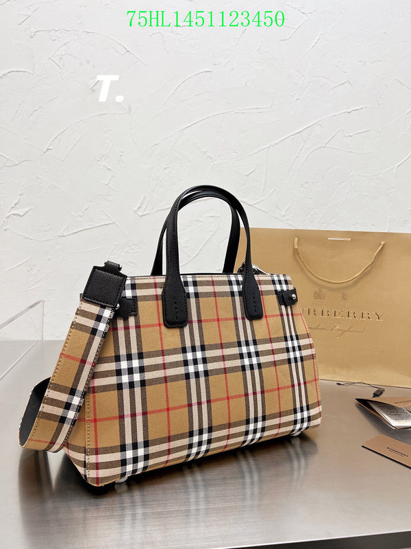 Ezyycart Bags Fan Fashion -MV - Top quality BBR Bags - 364