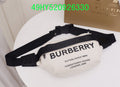 Ezyycart Bags Fan Fashion -MV - Top quality BBR Bags - 631