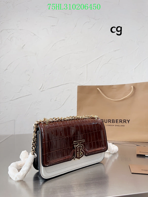 Ezyycart Bags Fan Fashion -MV - Top quality BBR Bags - 208