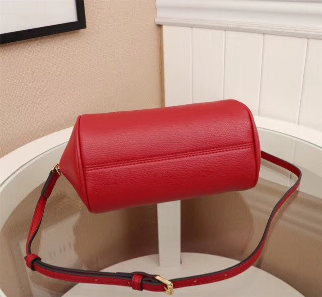 Ezyycart Bags Fan Fashion -MV - Top quality BBR Bags - 1058