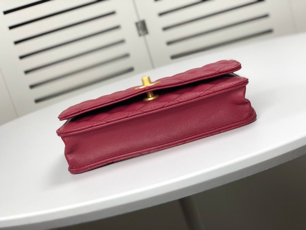 Anum Bags Bags CHL 079