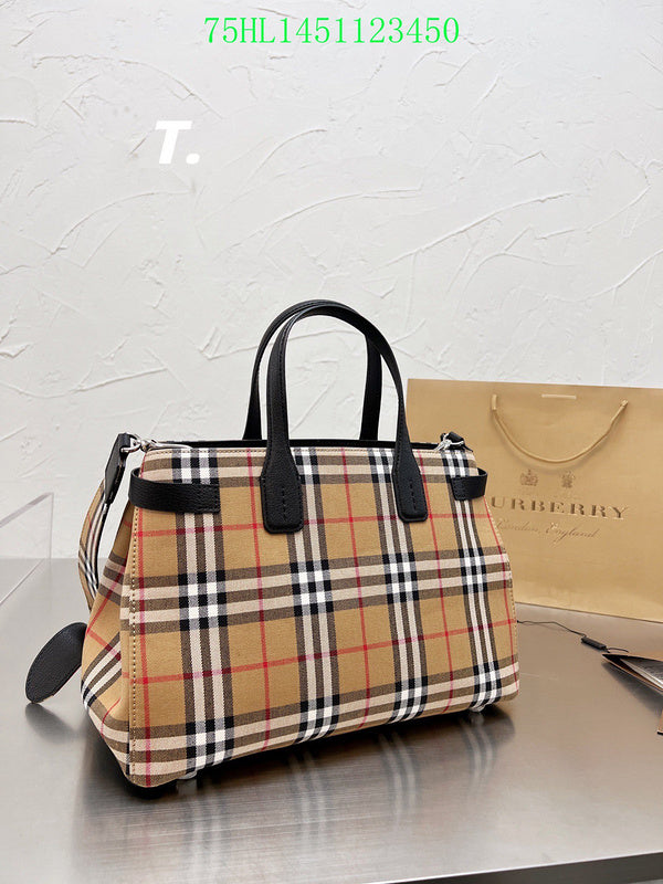 Ezyycart Bags Fan Fashion -MV - Top quality BBR Bags - 364