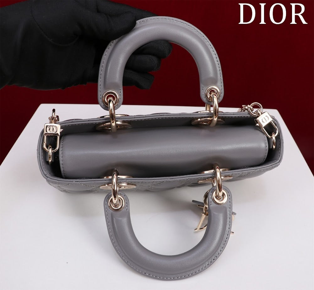 Anum Bags Diorn Luxury Bag --114765