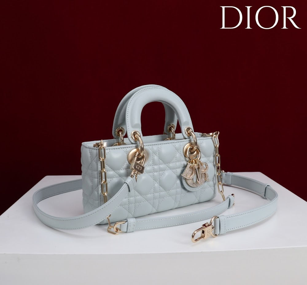Anum Bags Diorn Luxury Bag --114789
