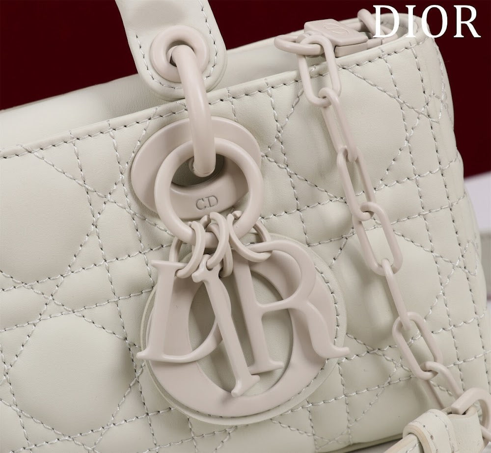 Ezyycart Bags Diorn Luxury Bag --114851
