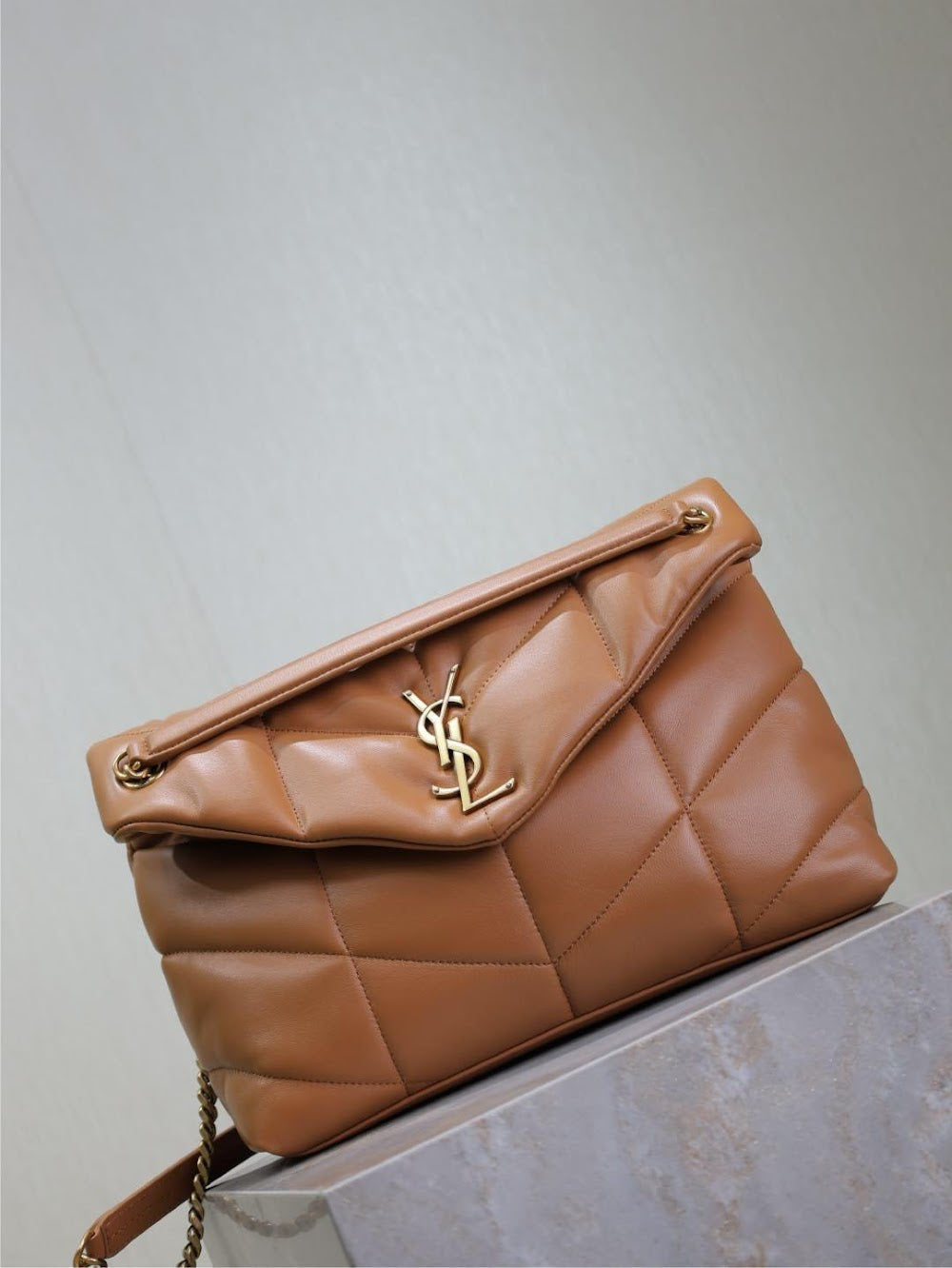 Ezyycart Bags YSLn Luxury Bag --119432