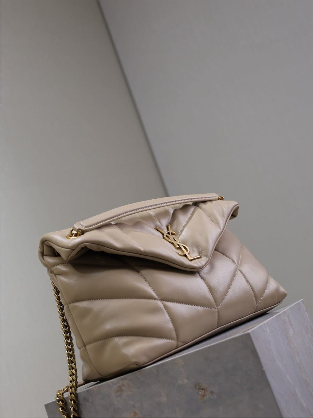 Ezyycart Bags YSLn Luxury Bag --119428