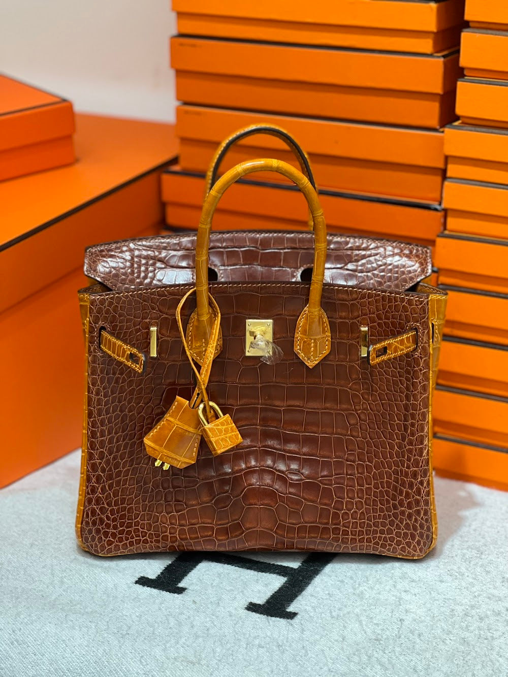 Anum Bags Hermesn Luxury Bag --117408