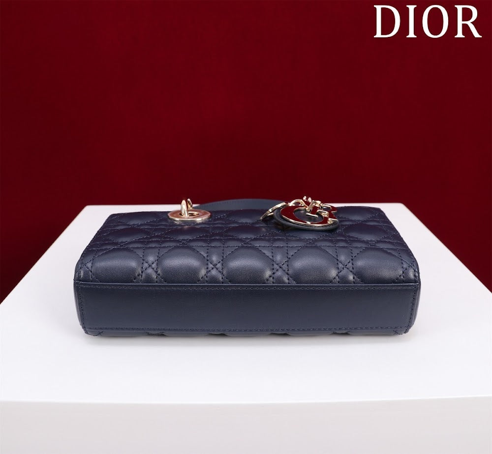 Anum Bags Diorn Luxury Bag --114763