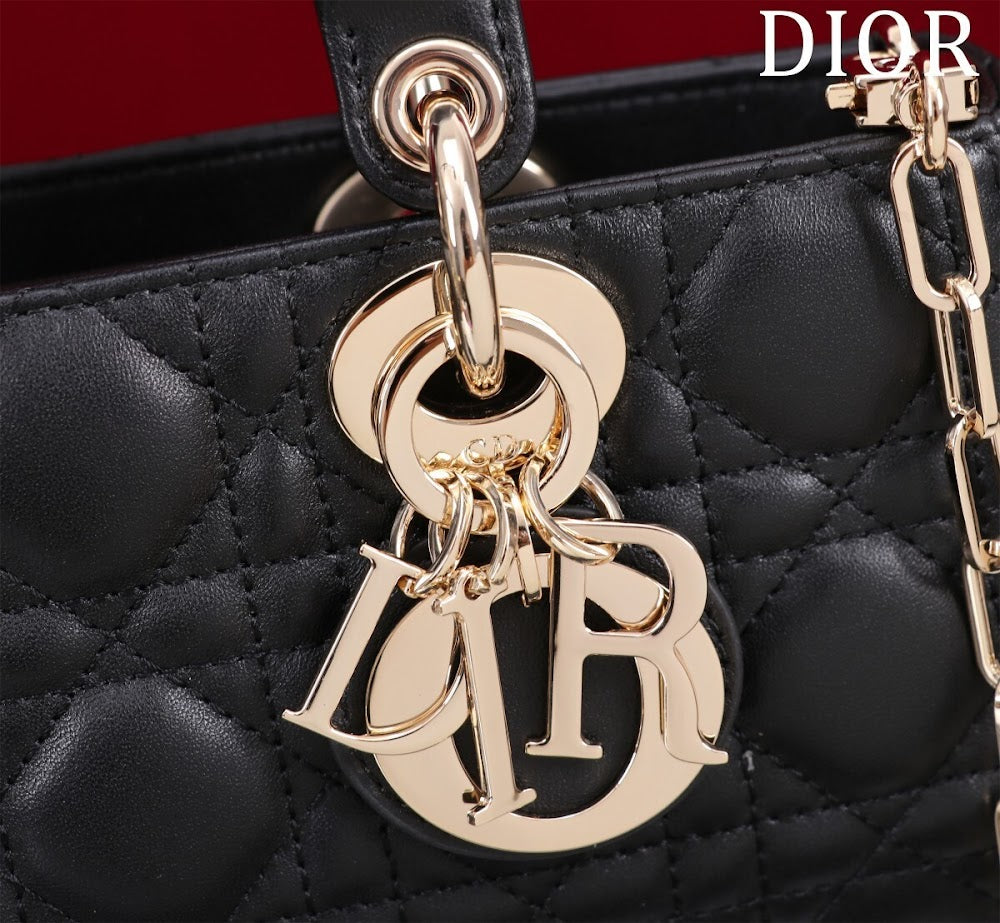 Anum Bags Diorn Luxury Bag --114714