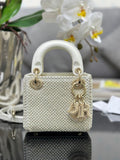Anum Bags Diorn Luxury Bag --114465