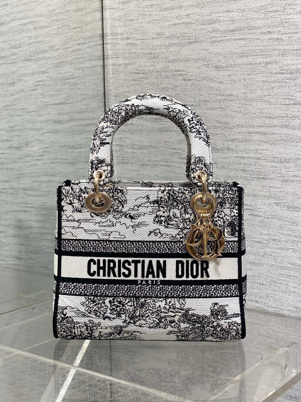 new-designer-premium-bags-nm16305