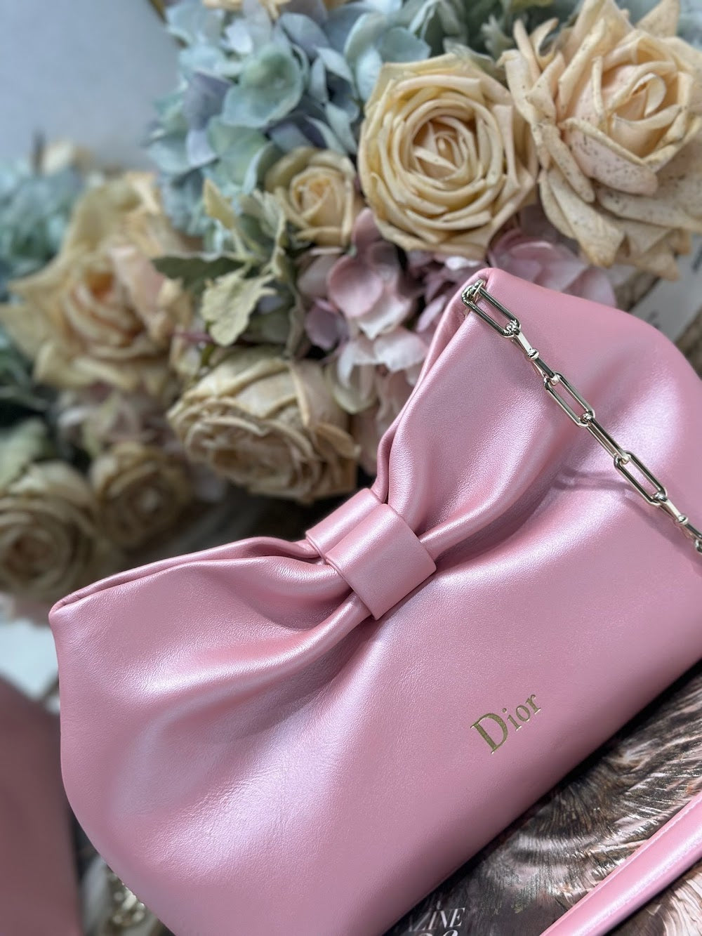 Ezyycart Bags Diorn Luxury Bag --115579