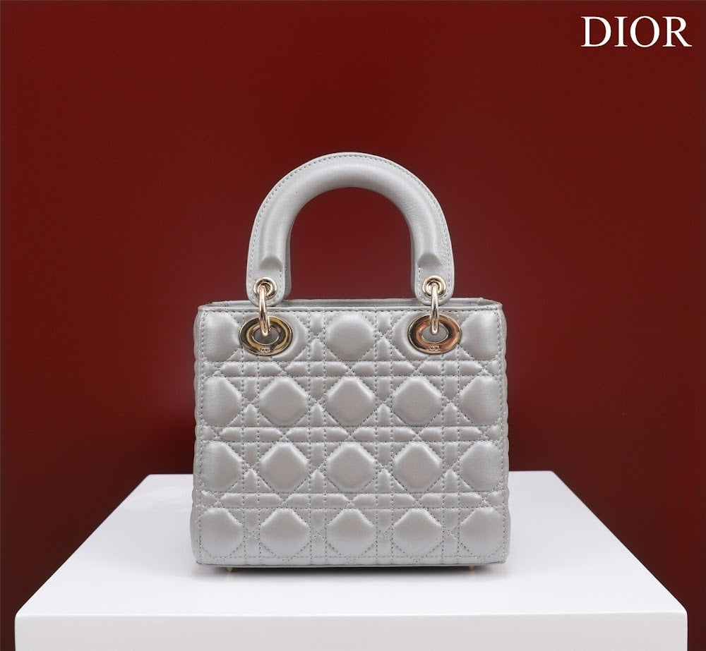 Ezyycart Bags Diorn Luxury Bag --115927