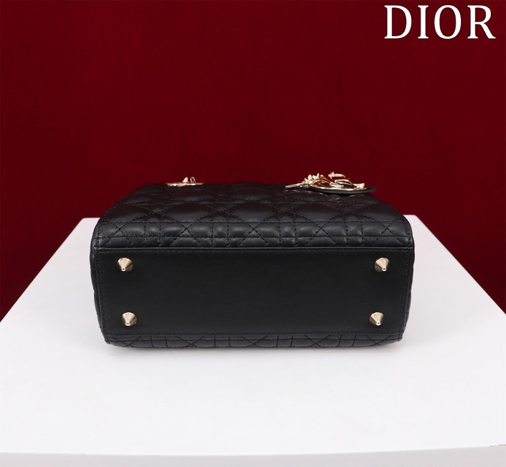 Ezyycart Bags Diorn Luxury Bag --115923