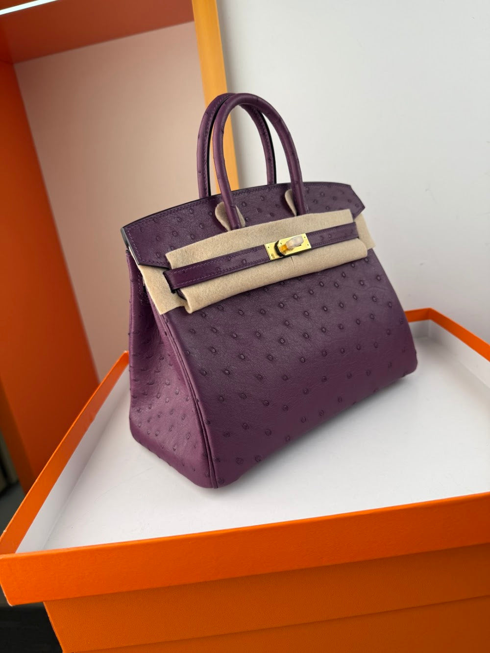 Anum Bags Hermesn Luxury Bag --116761