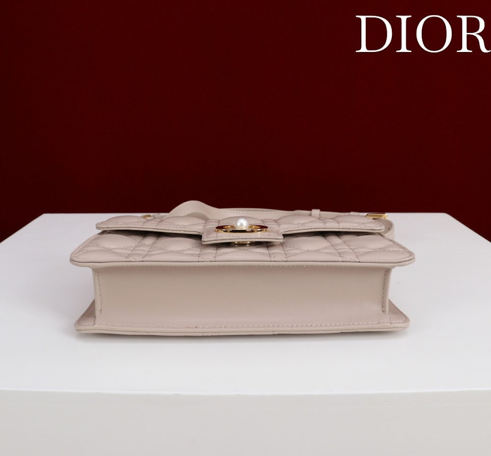 Ezyycart Bags Diorn Luxury Bag --116382