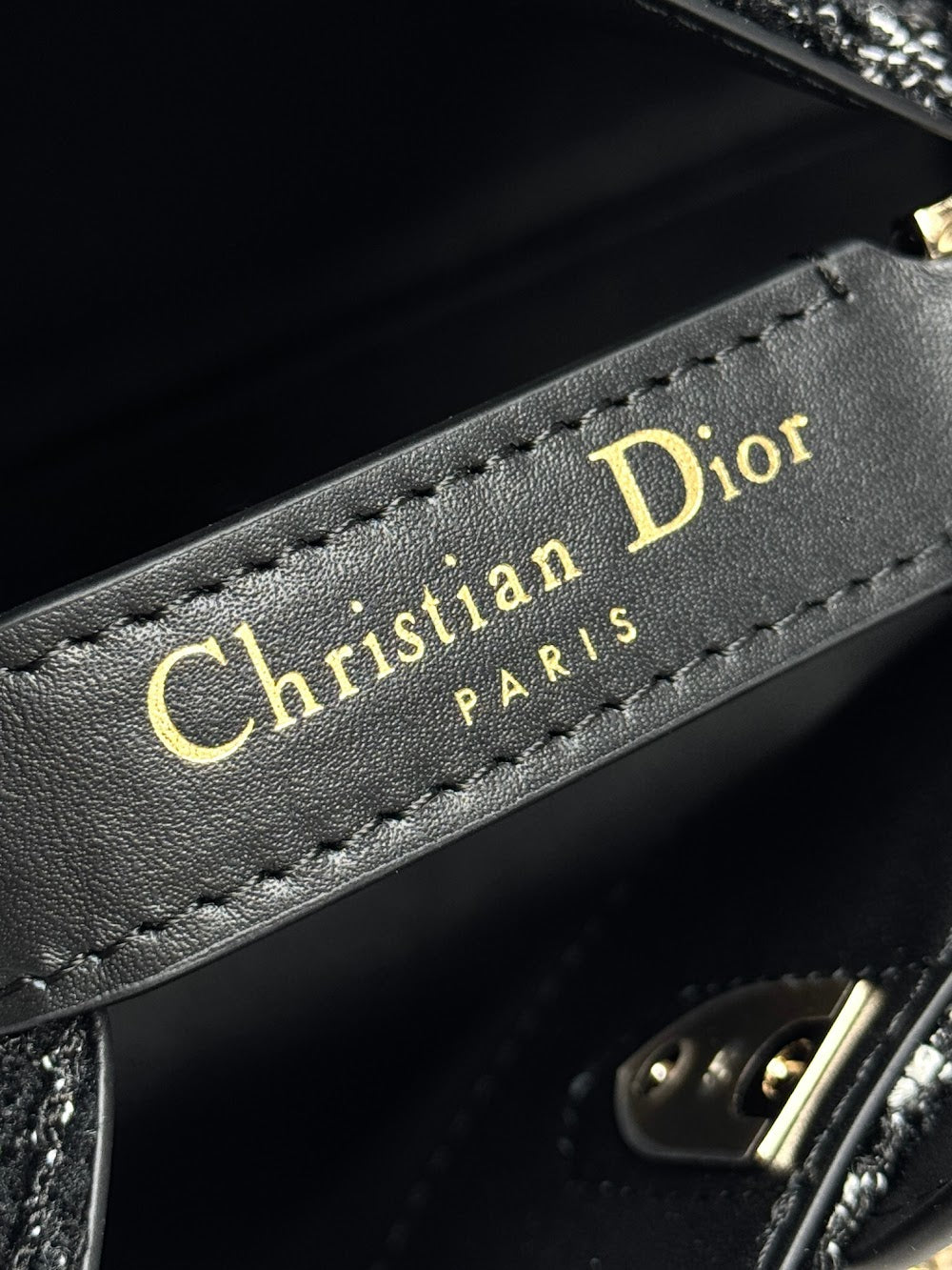 Anum Bags Diorn Luxury Bag --114956