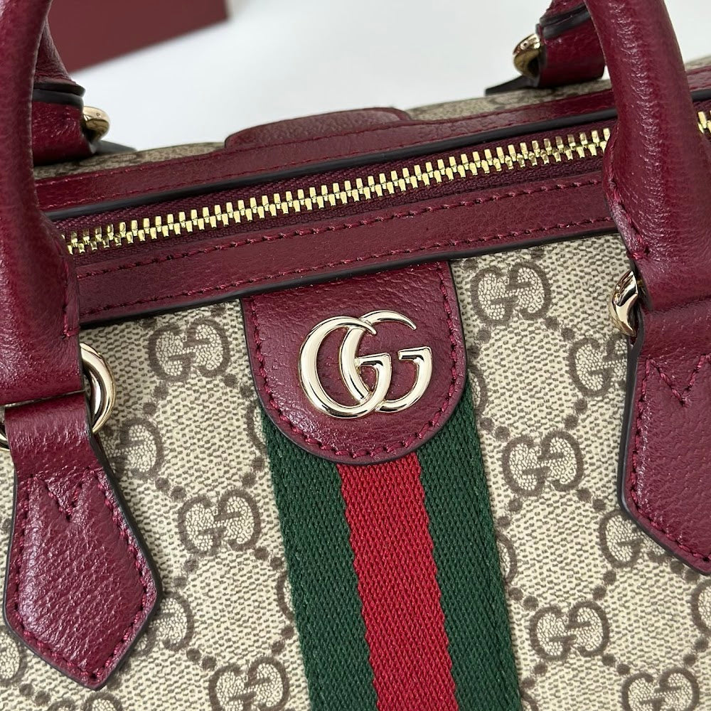 Ezyycart Bags Guccin Luxury Bag --94321