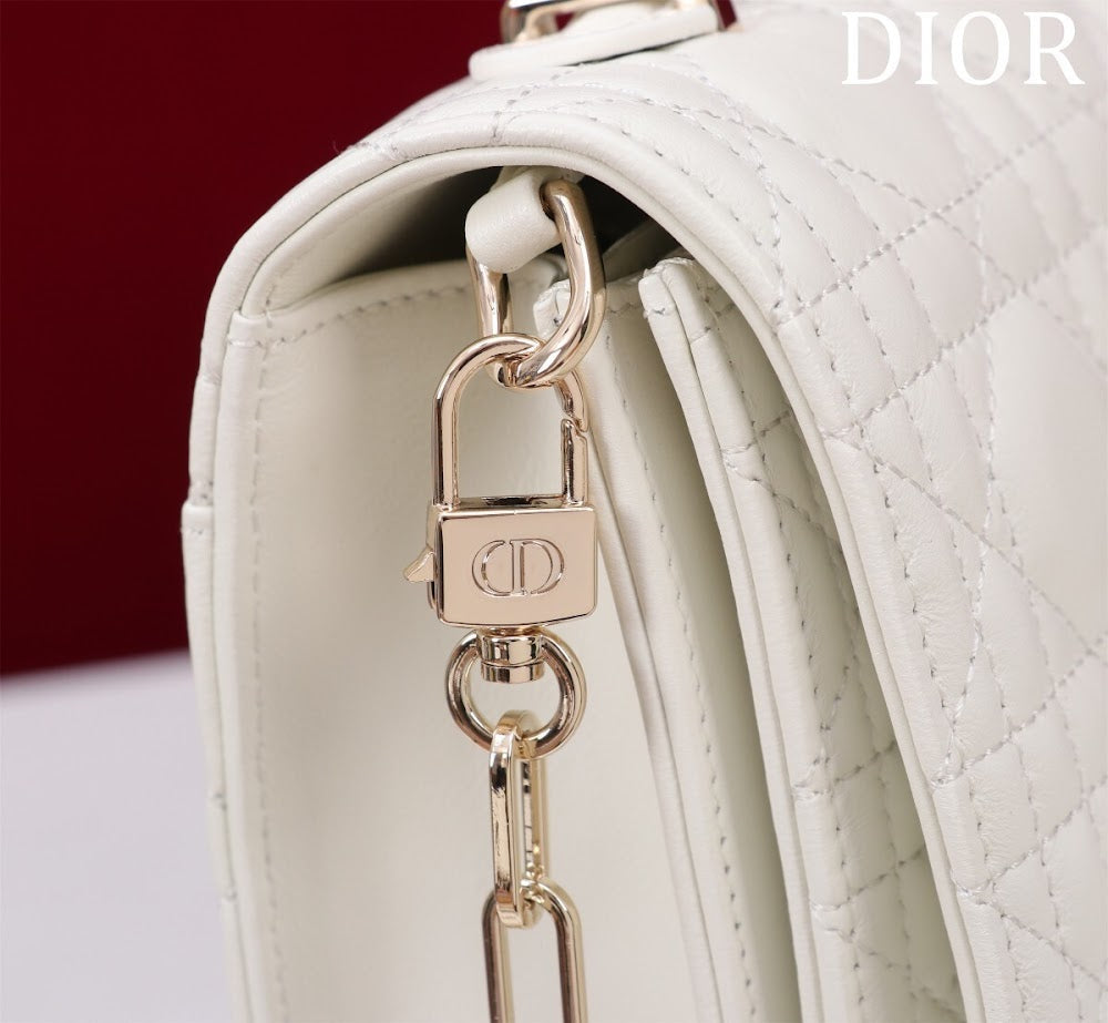 Ezyycart Bags Diorn Luxury Bag --116295