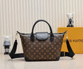 Anum Bags LVn Luxury Bag --79025