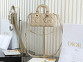 Anum Bags Diorn Luxury Bag --114839