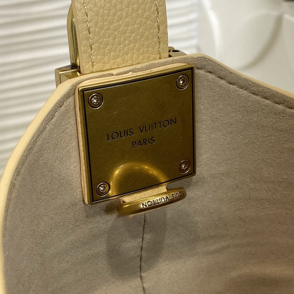 Anum Bags LVn Luxury Bag --79336