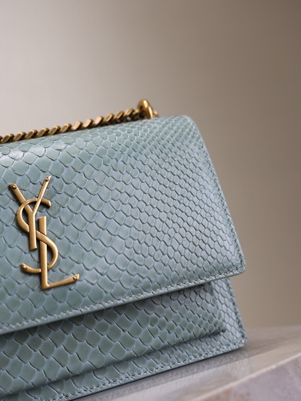 Ezyycart Bags YSLn Luxury Bag --119172