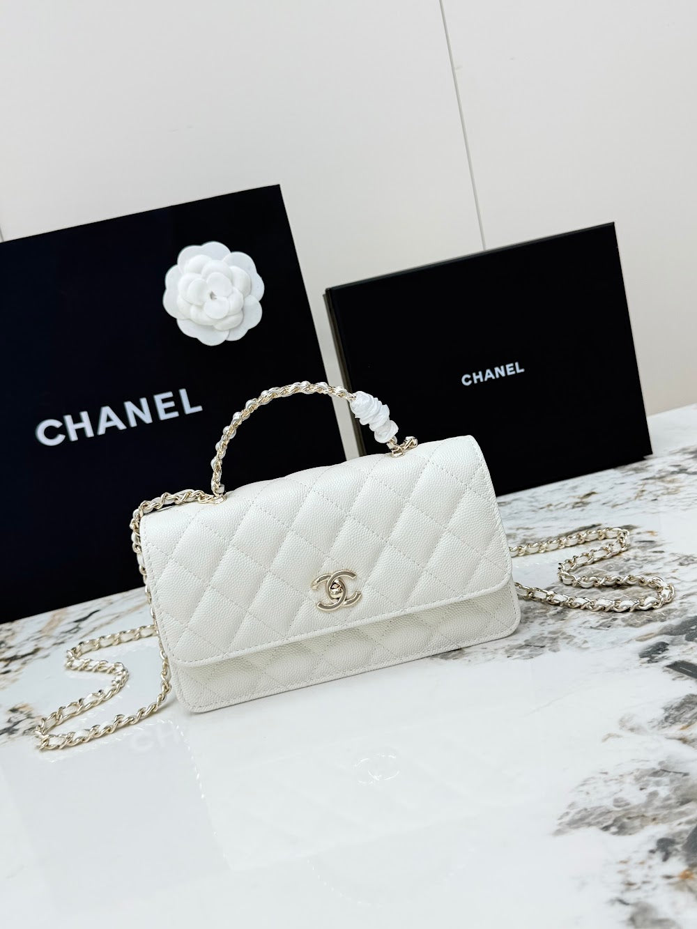 Anum Bags CHn Luxury Bag --113933