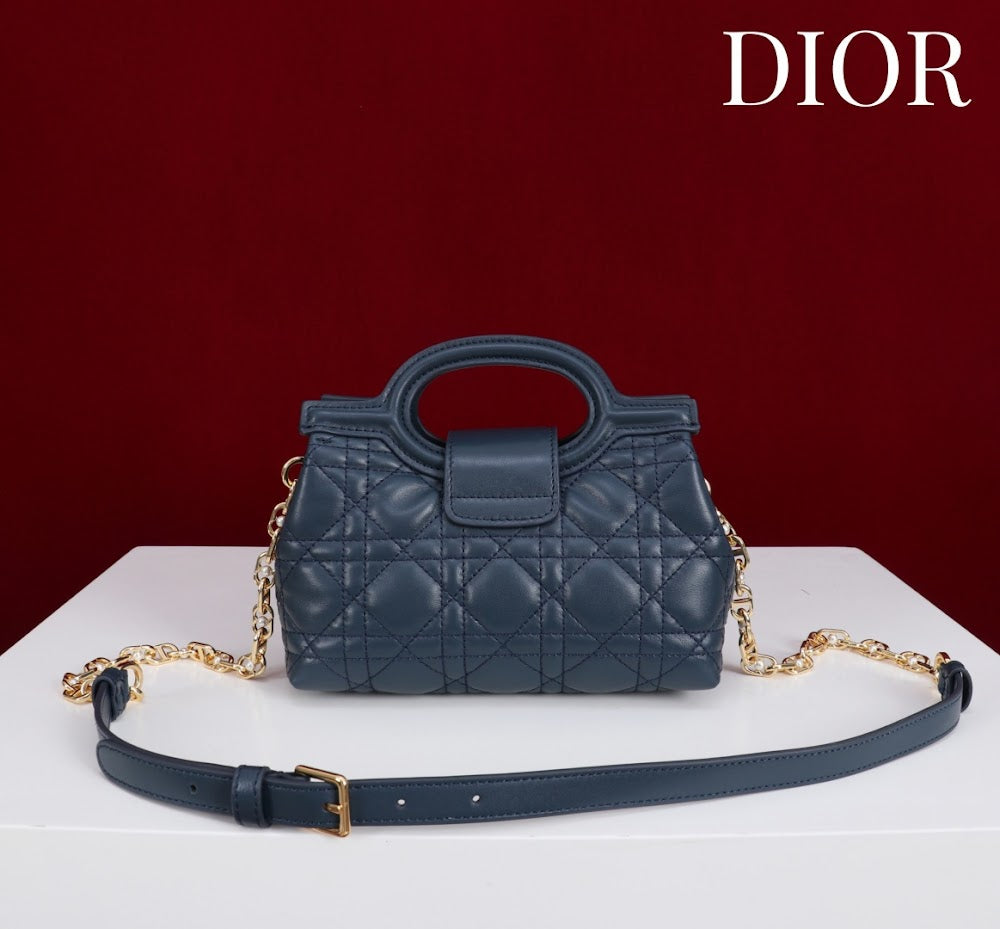 Anum Bags Diorn Luxury Bag --114558