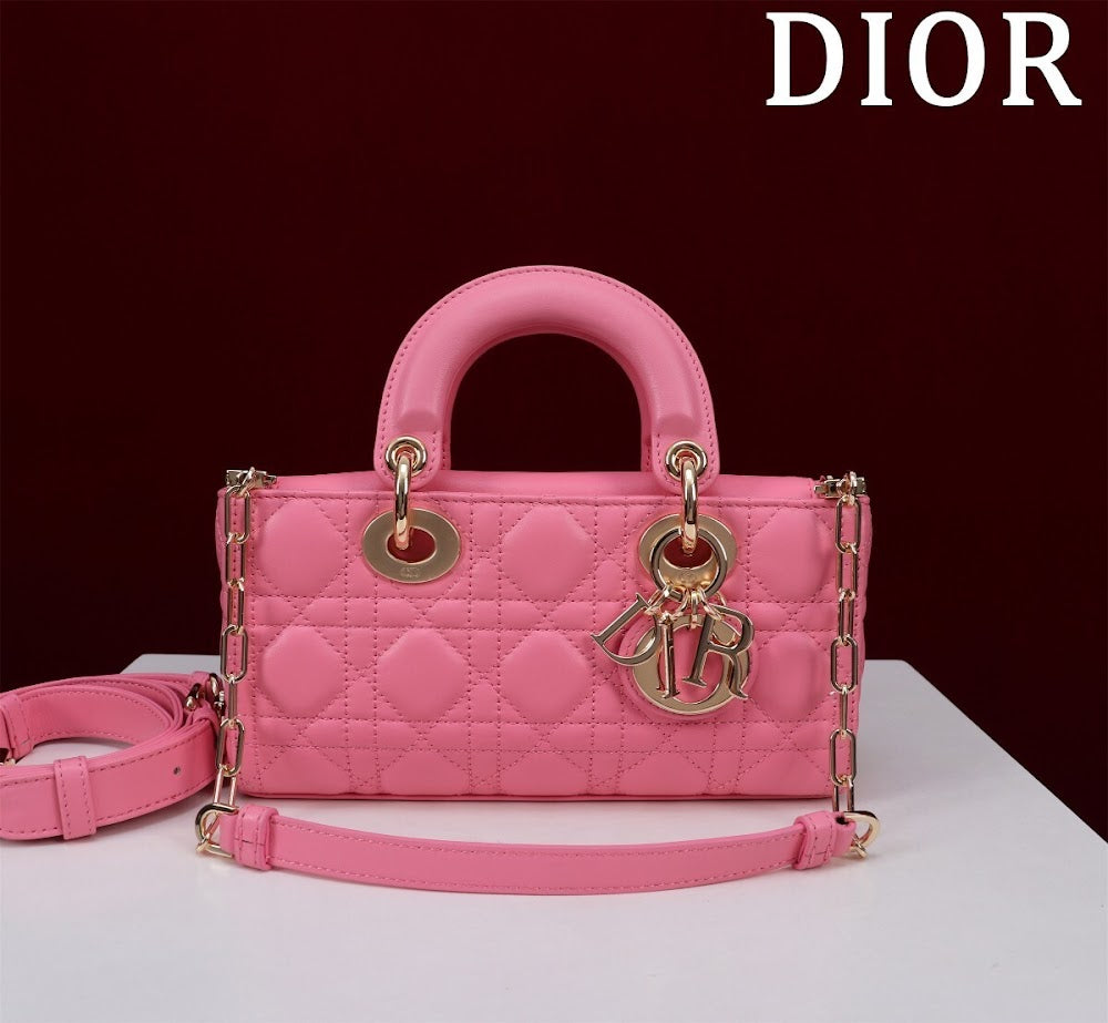 Anum Bags Diorn Luxury Bag --114746