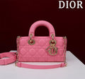 Anum Bags Diorn Luxury Bag --114751
