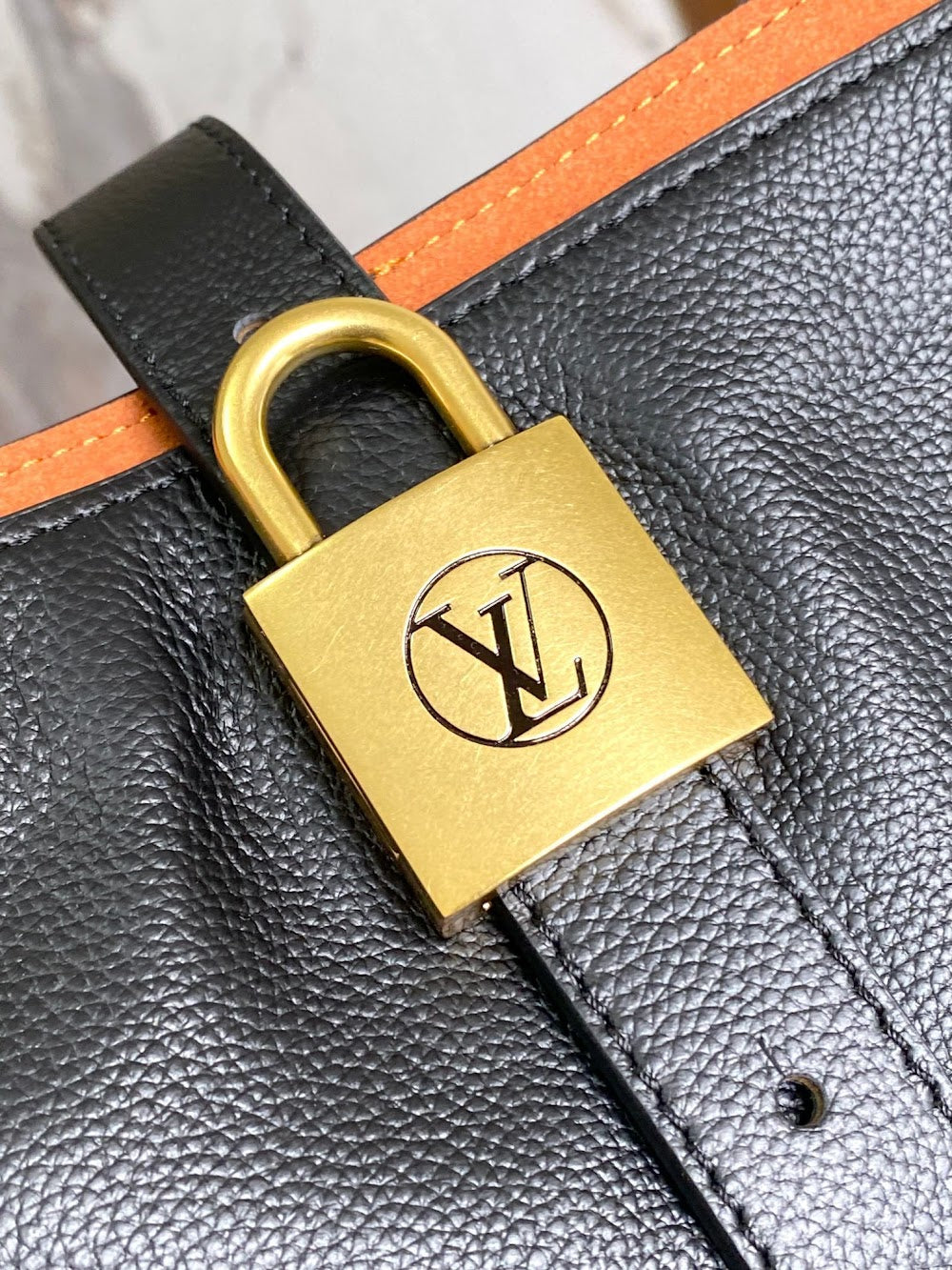 Anum Bags LVn Luxury Bag --80934