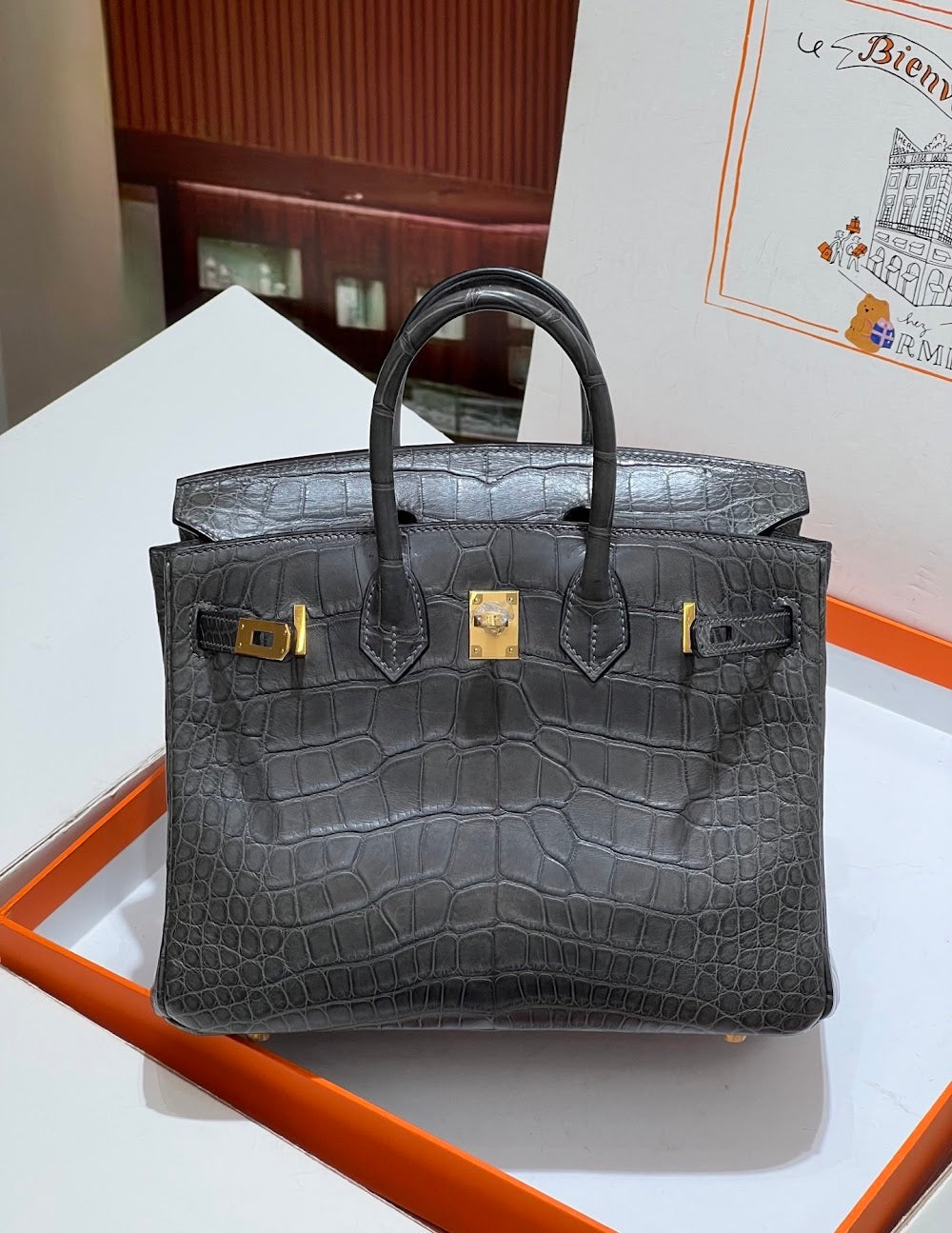 Anum Bags Hermesn Luxury Bag --117135