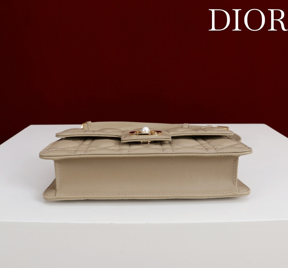 Ezyycart Bags Diorn Luxury Bag --116375