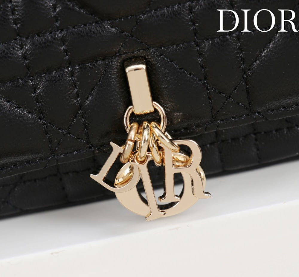 Ezyycart Bags Diorn Luxury Bag --116355