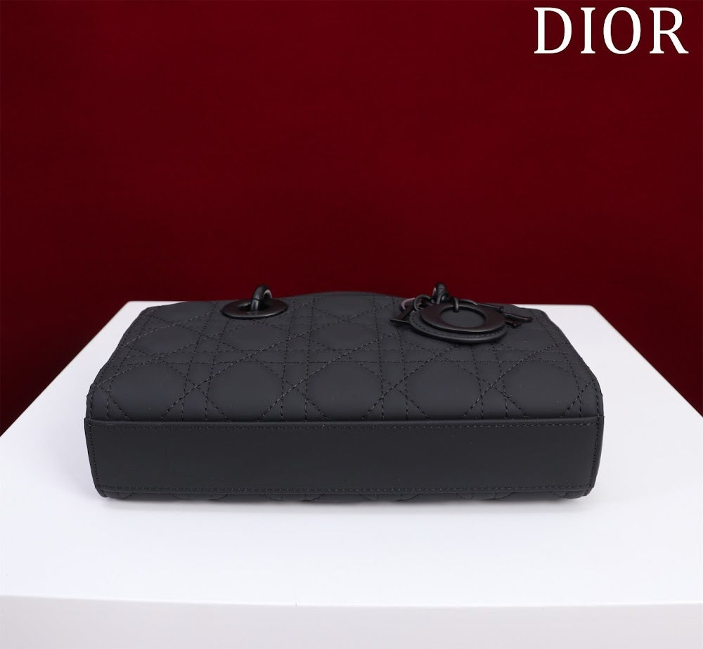 Anum Bags Diorn Luxury Bag --114857