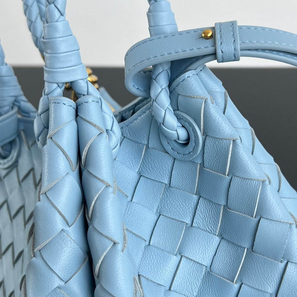 Ezyycart Bags Bottegan Luxury Bag --91272