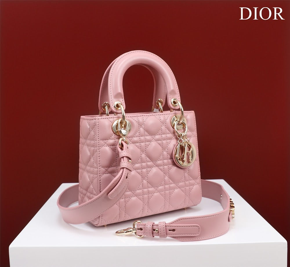 Ezyycart Bags Diorn Luxury Bag --115915