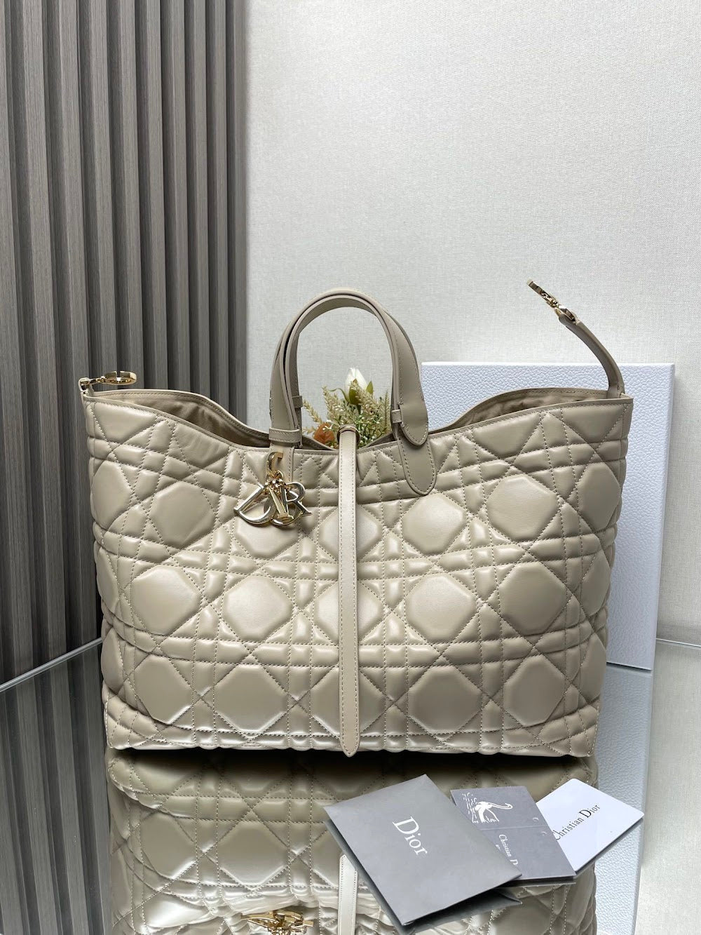 Ezyycart Bags Diorn Luxury Bag --116433