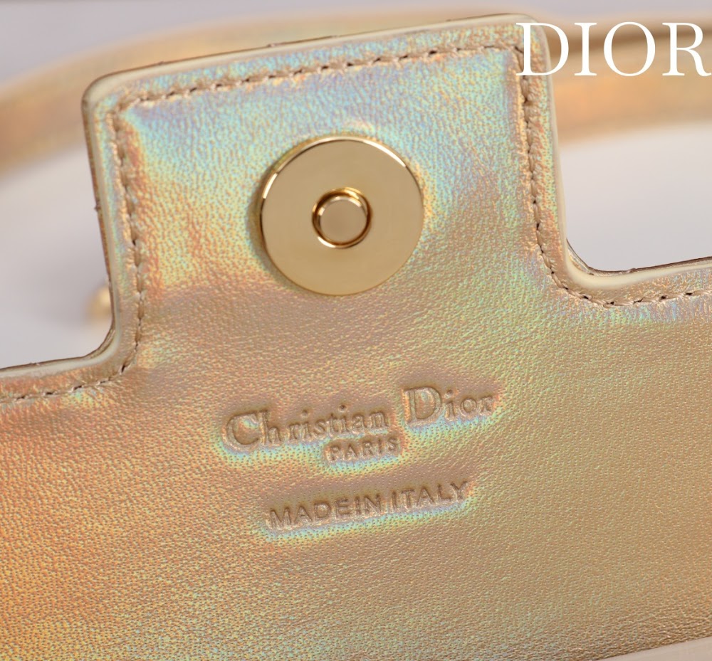 Ezyycart Bags Diorn Luxury Bag --116370