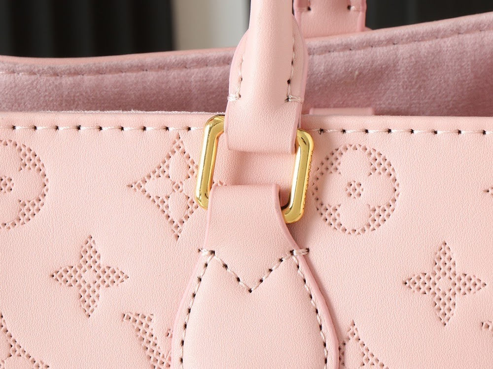 Anum Bags LVn Luxury Bag --78705