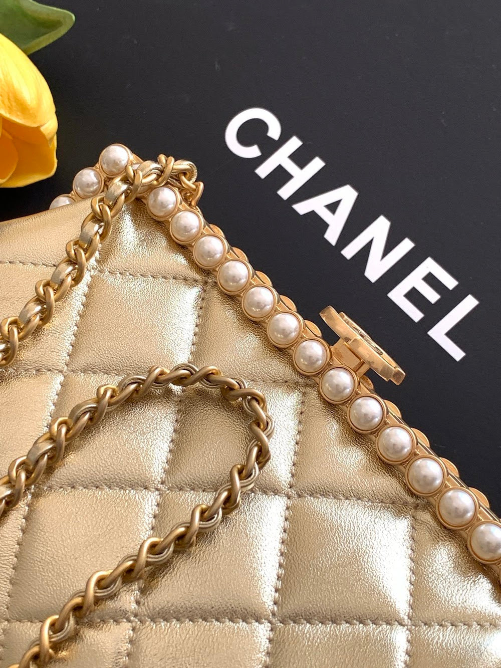 Anum Bags CHn Luxury Bag --113906