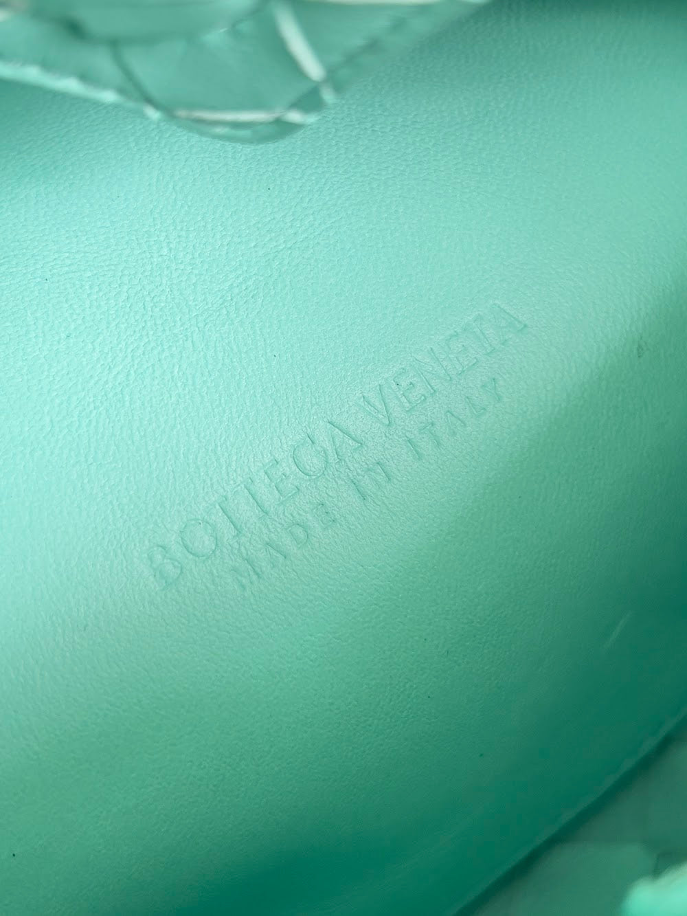 Ezyycart Bags Bottegan Luxury Bag --90948