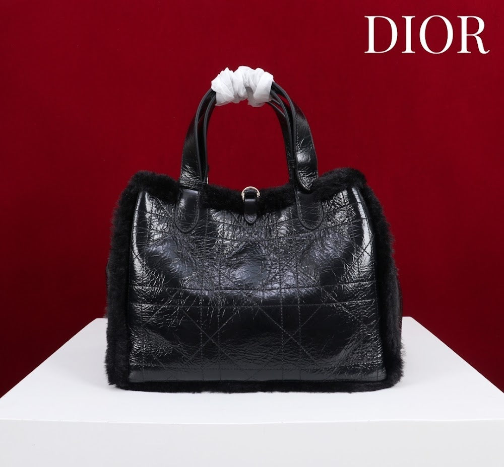 Ezyycart Bags Diorn Luxury Bag --116119