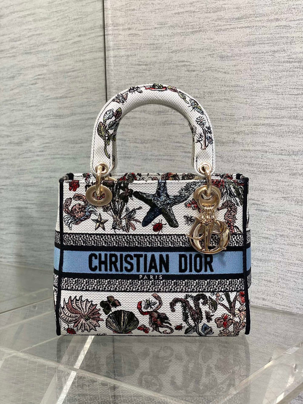 new-designer-premium-bags-nm16300