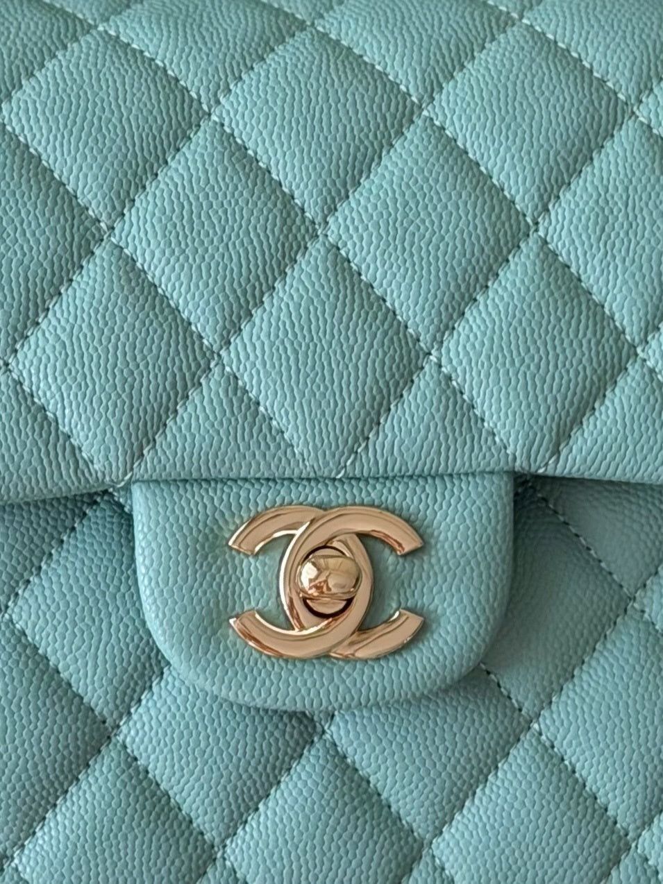 Anum Bags CHn Luxury Bag --113883