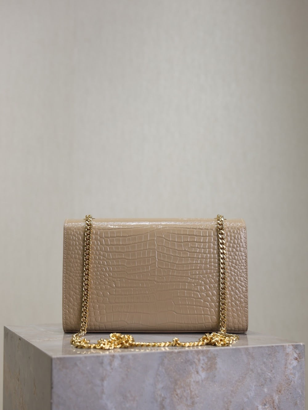 Ezyycart Bags YSLn Luxury Bag --119160