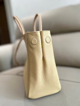 Ezyycart Bags new-elite-designer-bags-nm5794